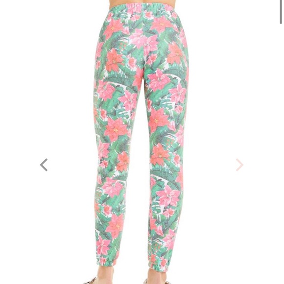 Wild Fox Island Knox Pants - Picture 3 of 7